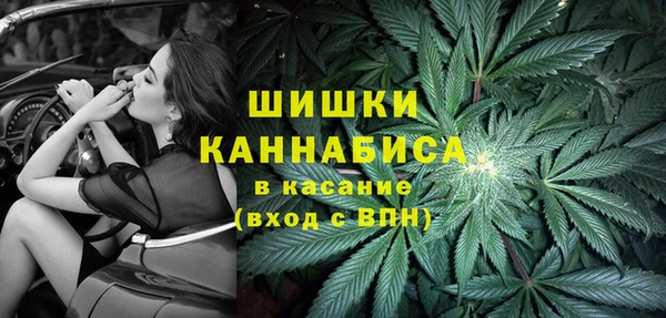 гашик Белоозёрский