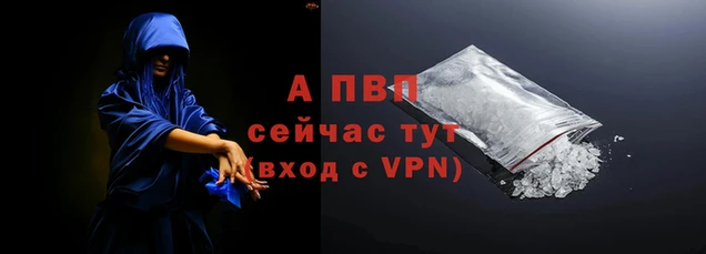 сатива Белокуриха