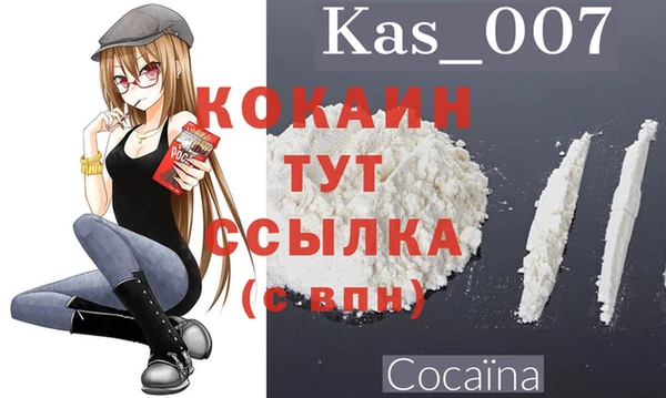 гашик Белоозёрский